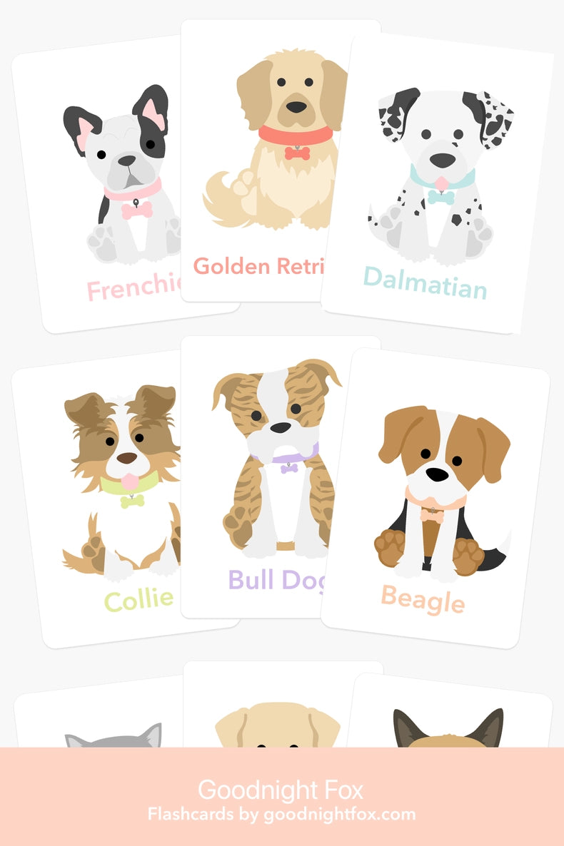 Flash Card Sets, Choose style