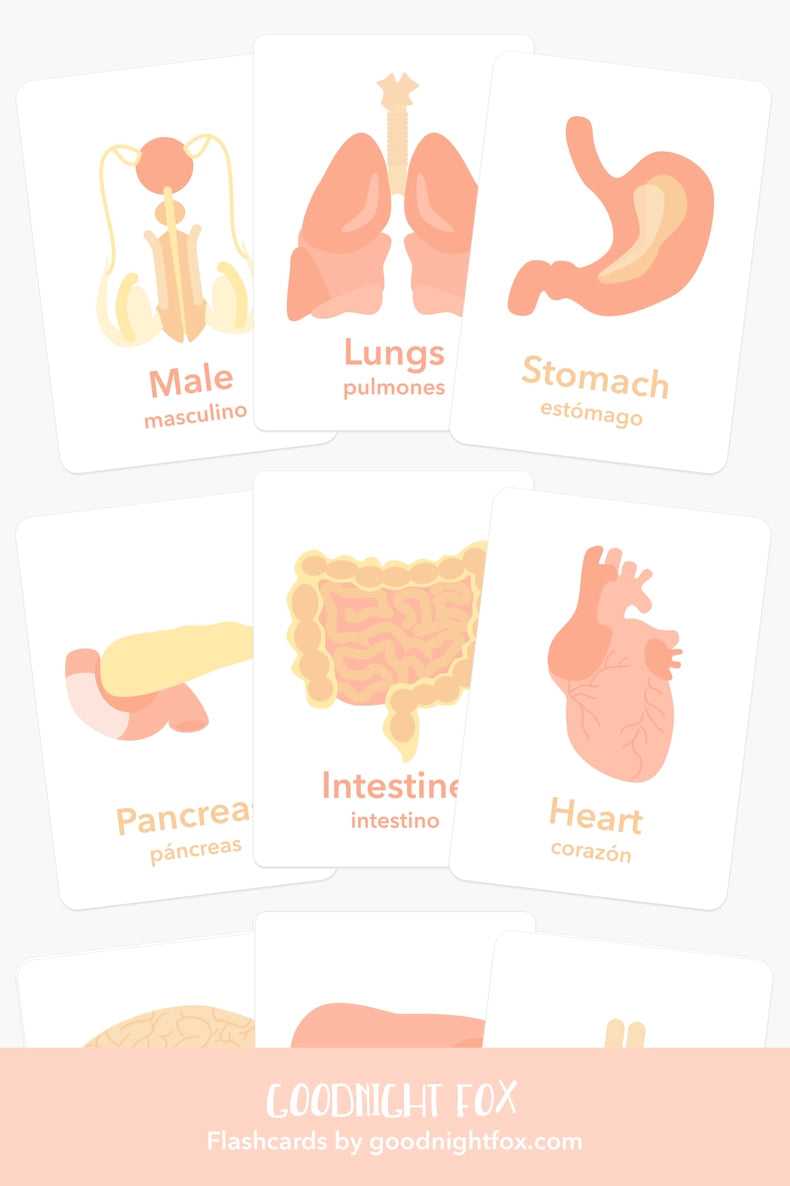 Flash Card Sets, Choose style