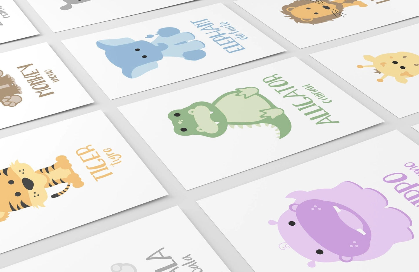Flash Card Sets, Choose style