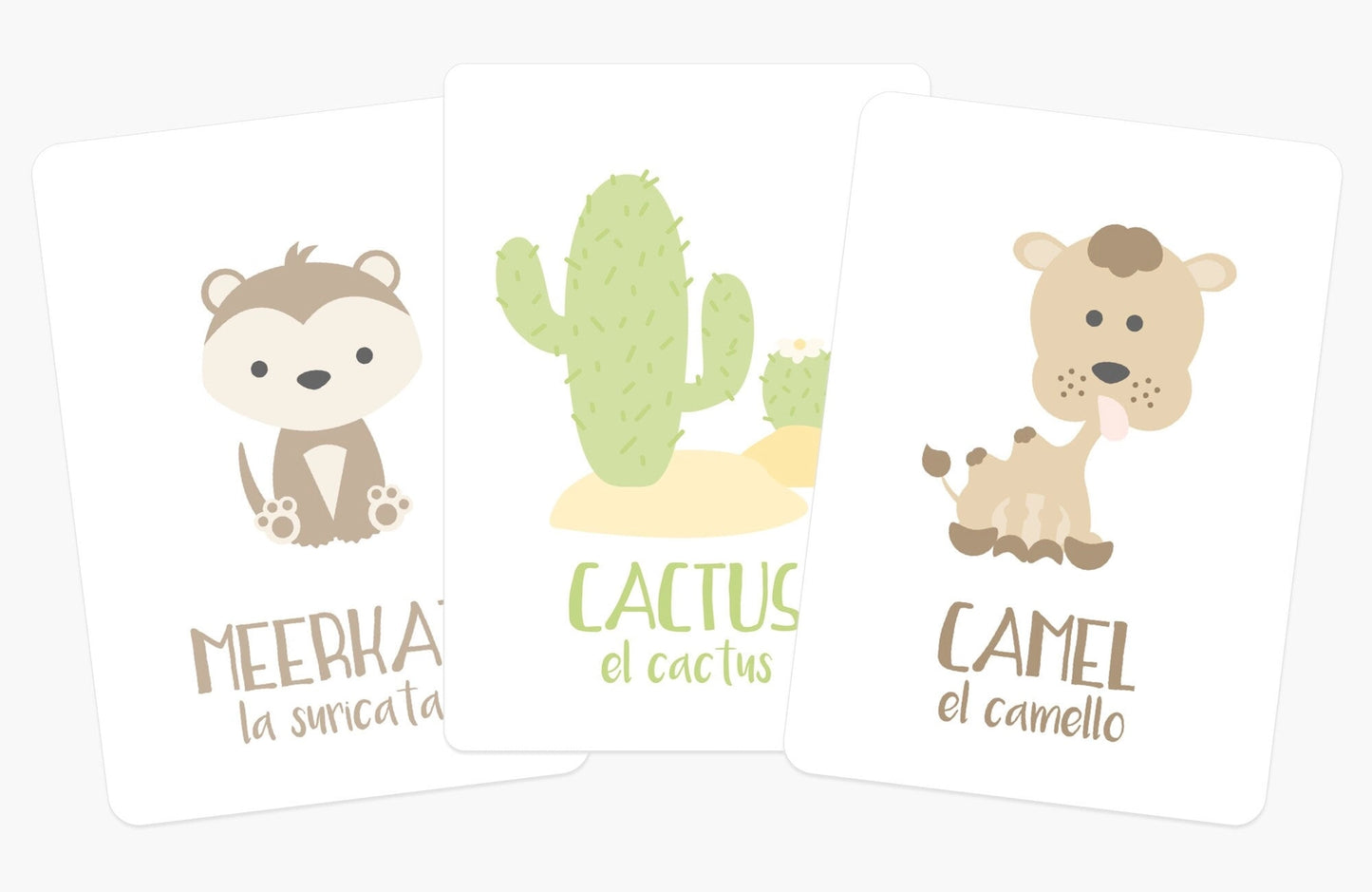 Flash Card Sets, Choose style