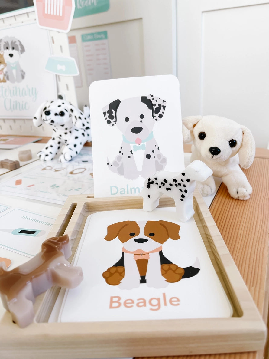 Flash Card Sets, Choose style
