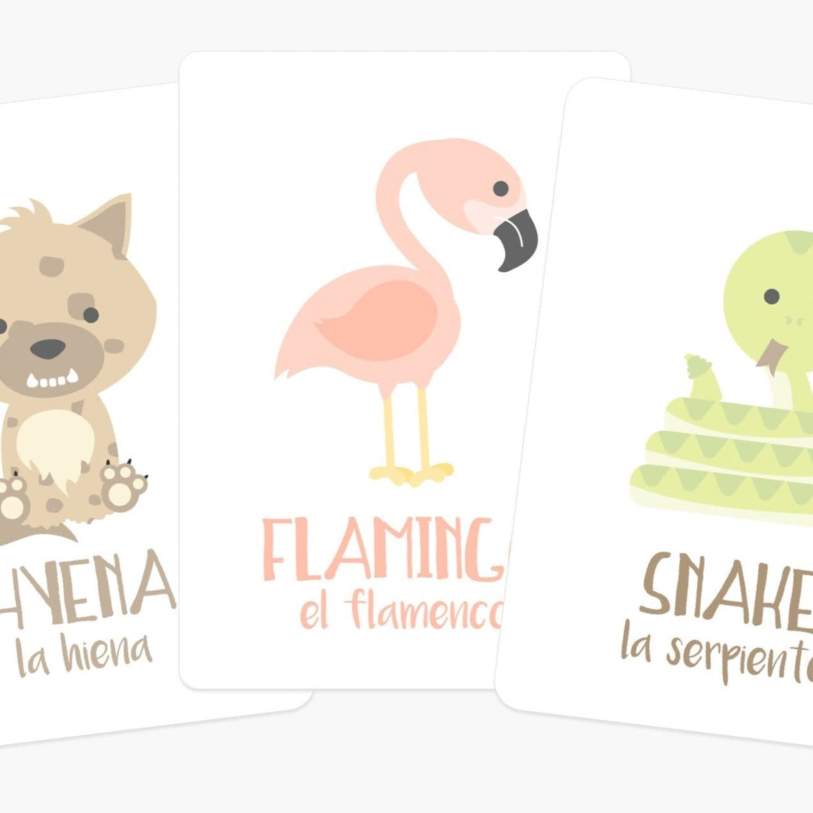 Flash Card Sets, Choose style