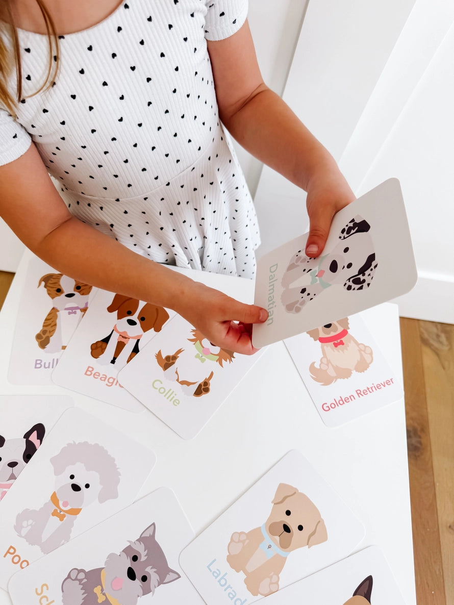 Flash Card Sets, Choose style