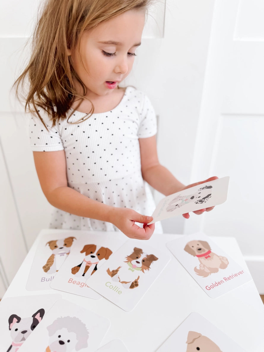 Flash Card Sets, Choose style