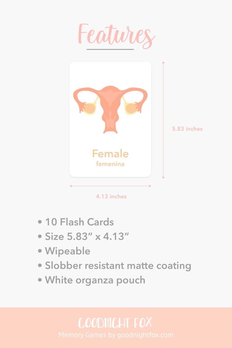 Flash Card Sets, Choose style