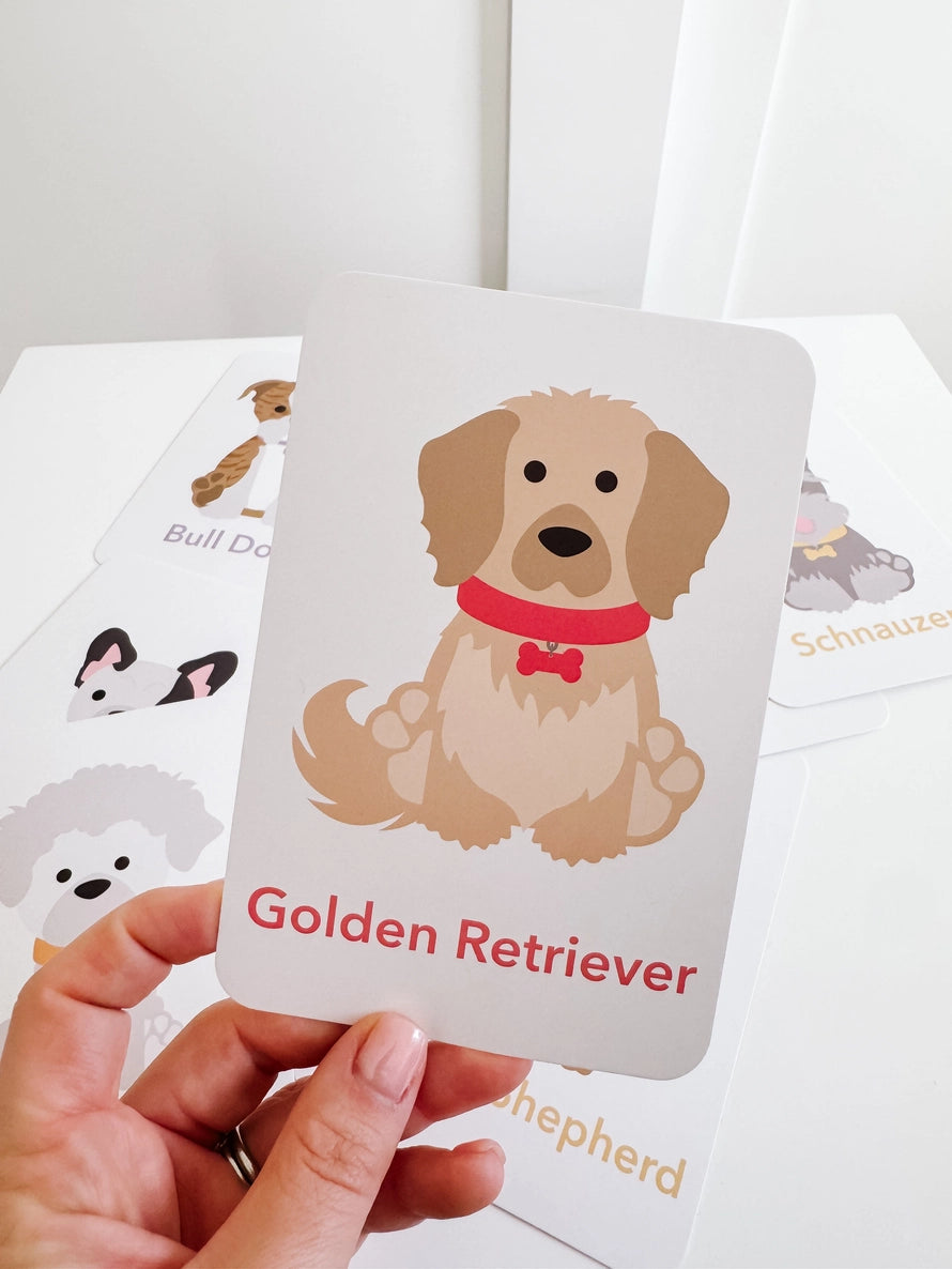 Flash Card Sets, Choose style