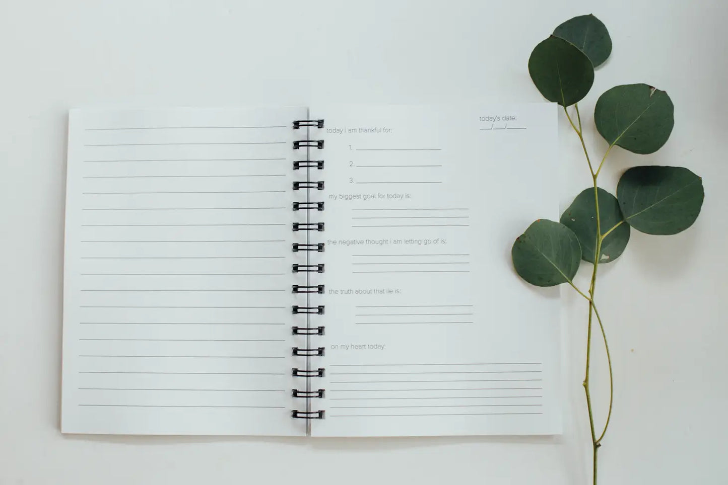 The Gratitude Journal | A daily practice for gratitude