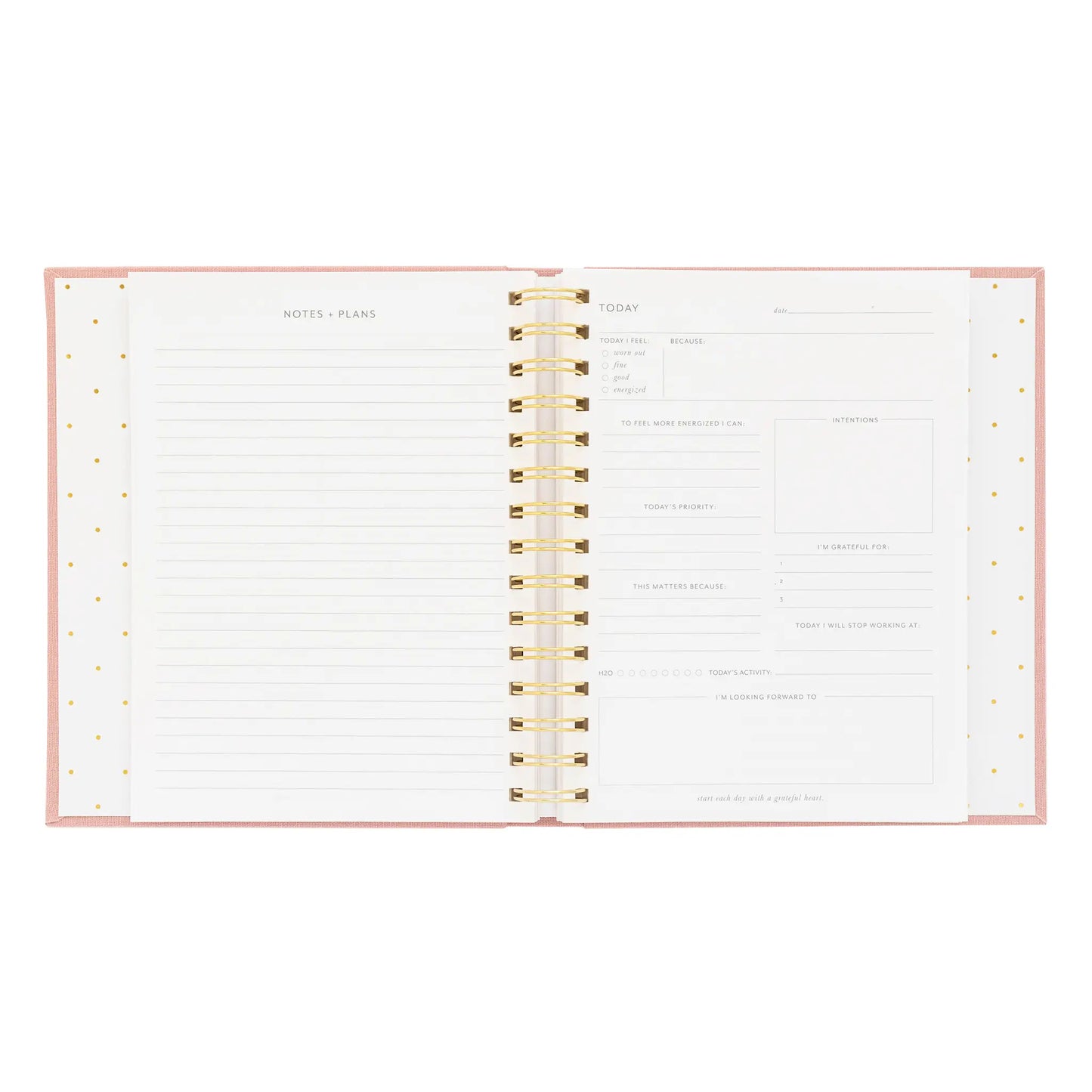 The Mindful Journal, Black Stripe