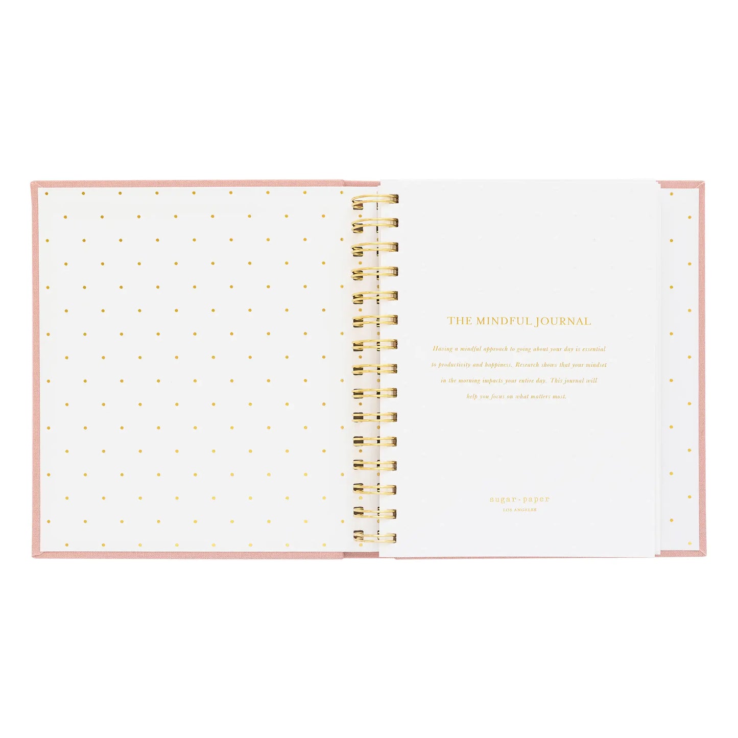 The Mindful Journal, Black Stripe