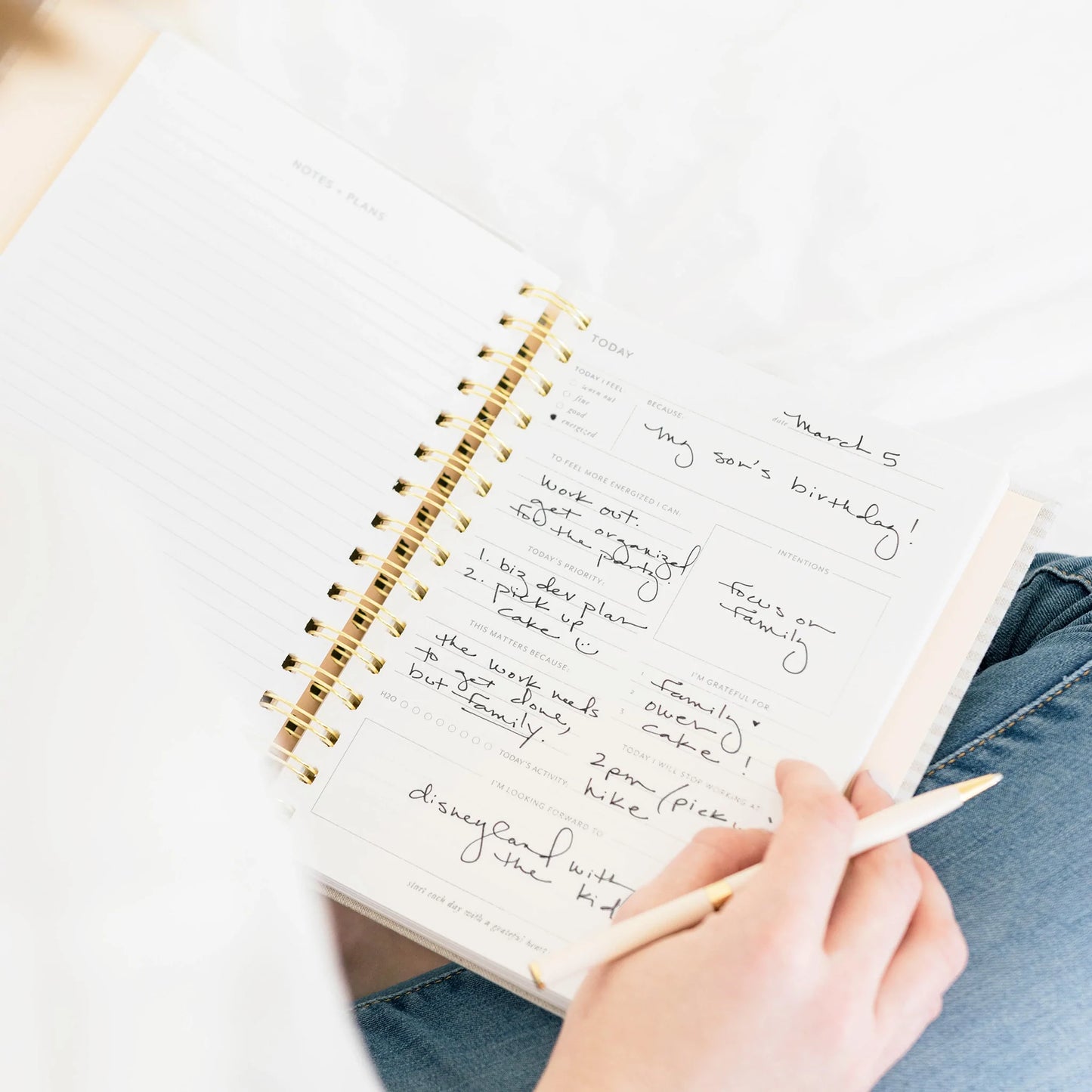 The Mindful Journal, Black Stripe