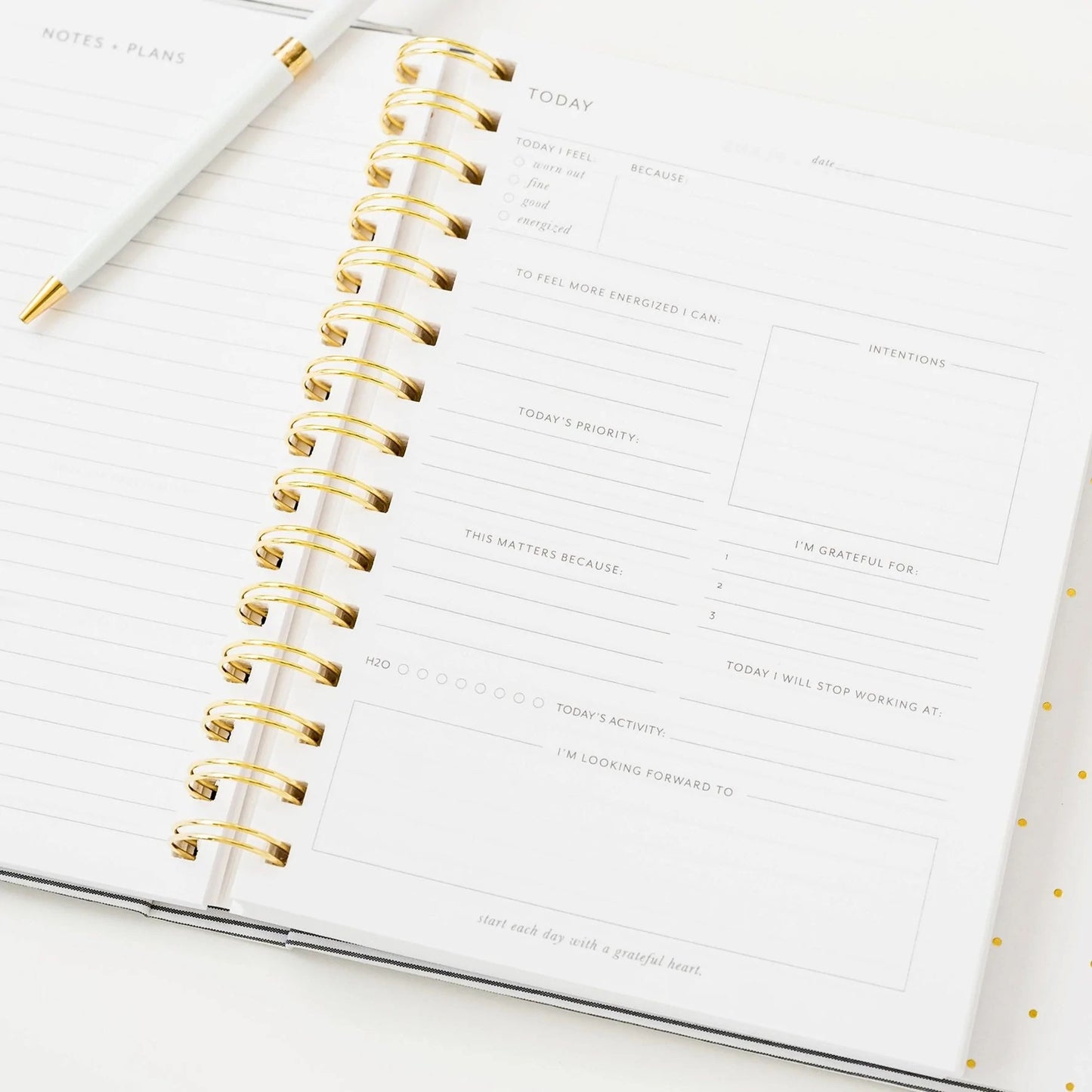 The Mindful Journal, Black Stripe