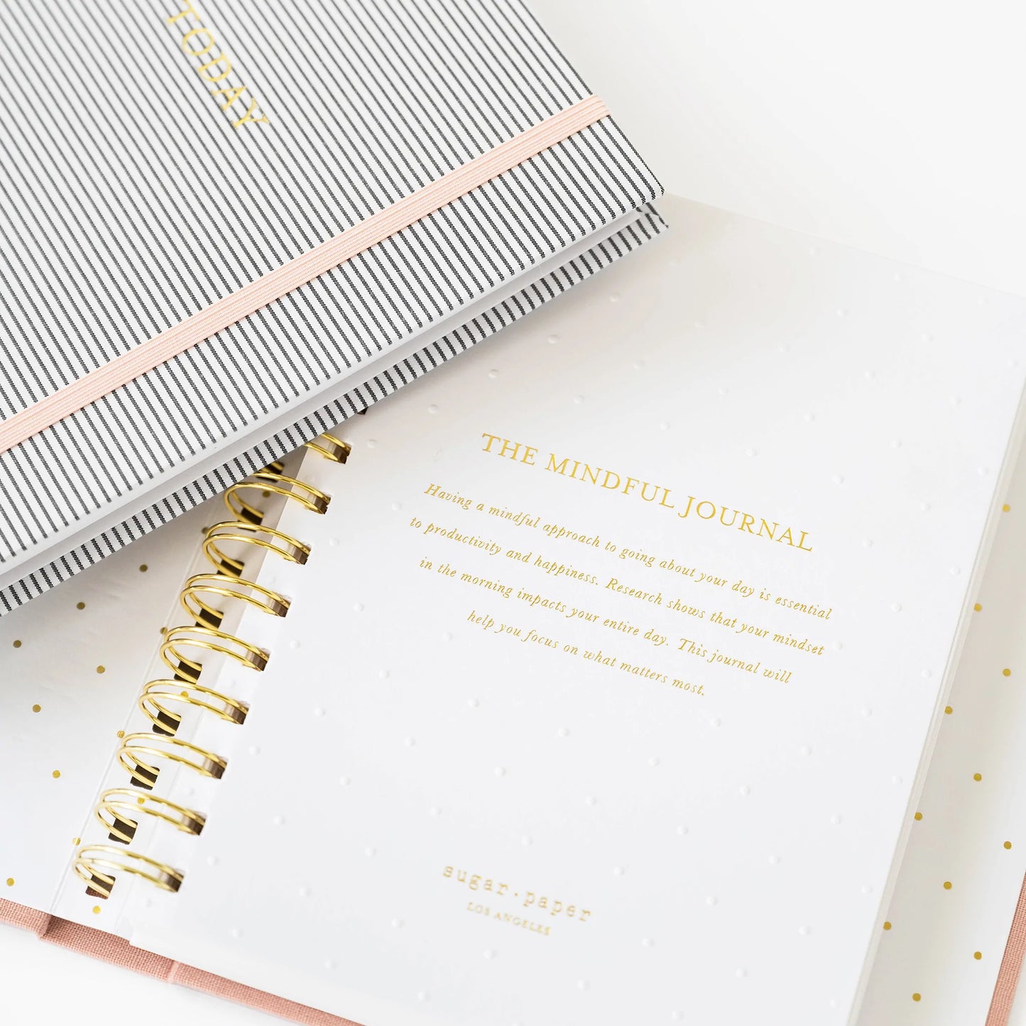 The Mindful Journal, Black Stripe